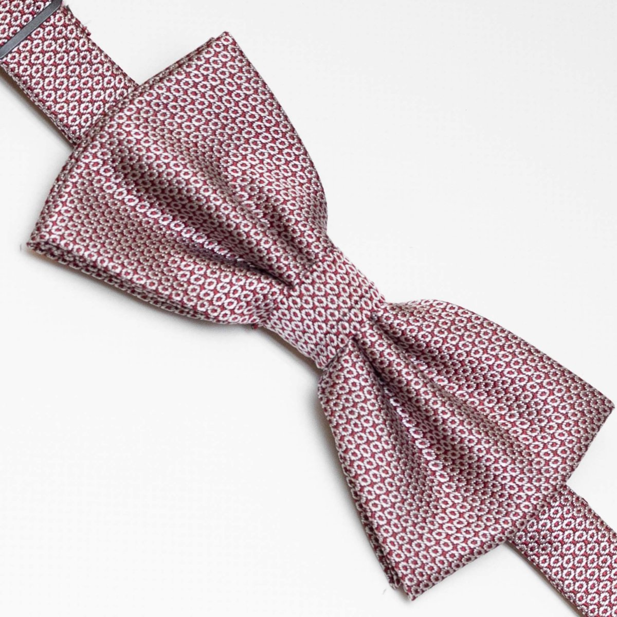 Papillon Fantasia | Bordeaux - immagine 2